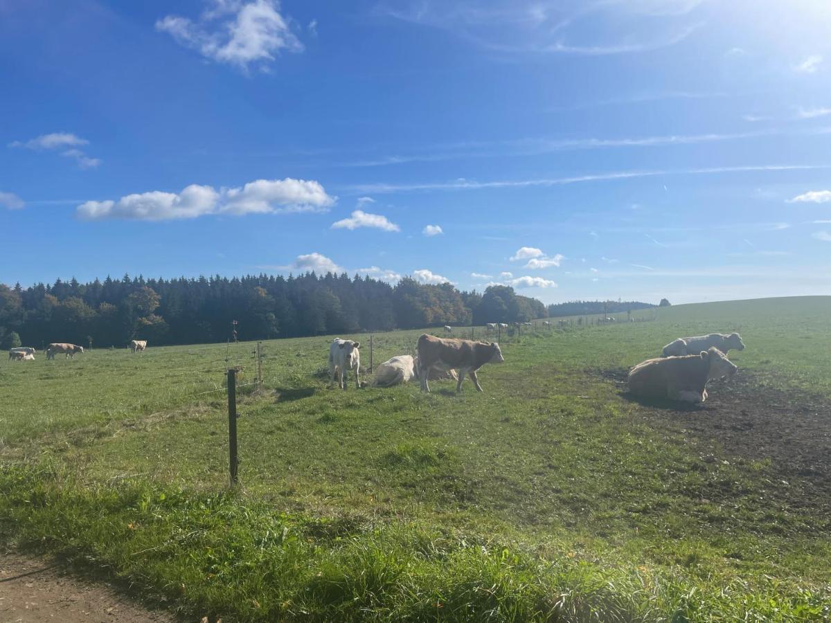 Apartmán Studnice na Vysočině Nove Mesto na Morave Exterior foto